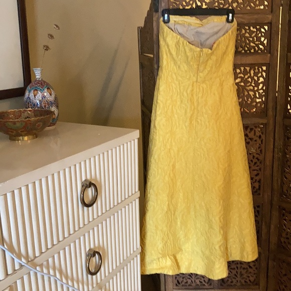 ML Monique Lhuillier Sunshine Day Gown (Size 4) - Picture 5 of 5